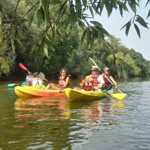 Canoë avec guide - Formules journée